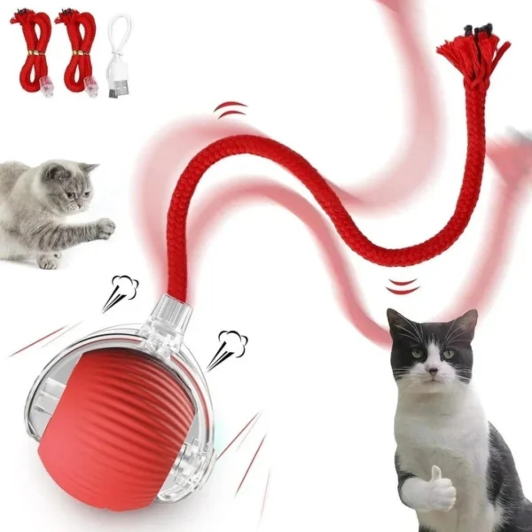 Brinquedo interativo para Gatos