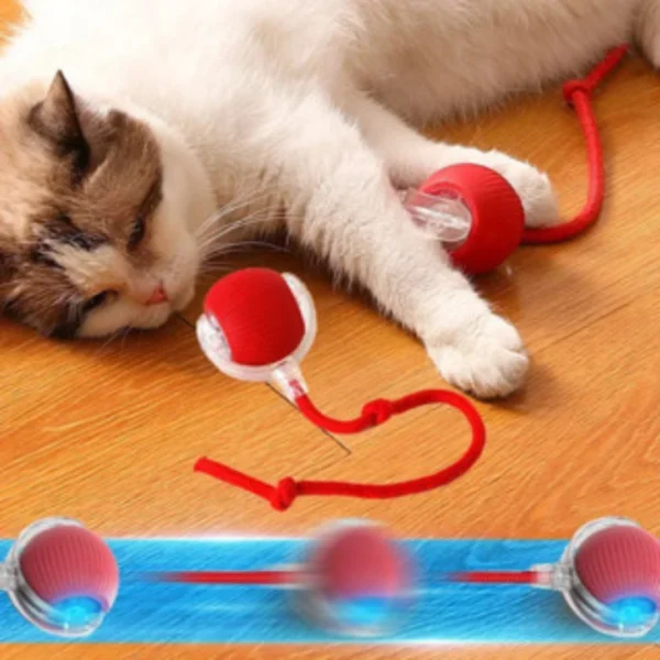 Brinquedo interativo para Gatos - Imagem 2
