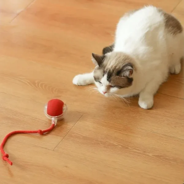 Brinquedo interativo para Gatos - Imagem 3