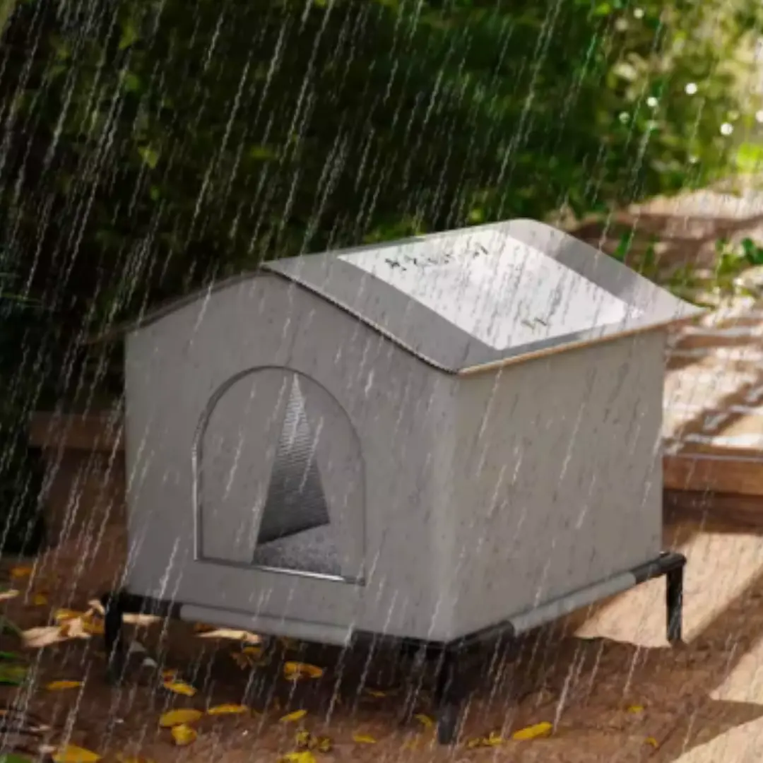 Casa para cães e gatos vadios